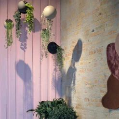 AYTM Globe Hanging Flowerpot - Large (Order Quantity: 2) 24 AYTM Globe Hanging Flowerpot - Large (Order Quantity: 2) -Danish Design Store 0000 PXL 20250303 101510393 1