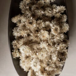 Pavot Centerpiece -Danish Design Store 0017 Audo Pavot Centerpiece 22