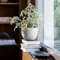 Ferm LIVING Speckle Pot -Danish Design Store 107 17643