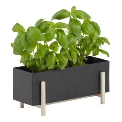 Botanic Box 11 Botanic Box -Danish Design Store 2519 1081BotanicBox