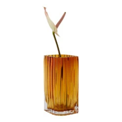 AYTM Folium Vase - Small (Order Quantity: 4) 28 AYTM Folium Vase - Small (Order Quantity: 4) -Danish Design Store 508580633088 FOLIUM vase Amber L12 6xW8 2xH20 CM SIDE 2