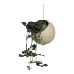 AYTM Globe Hanging Flowerpot - Small (Order Quantity: 4) 20 AYTM Globe Hanging Flowerpot - Small (Order Quantity: 4) -Danish Design Store 509210044011 GLOBE hanging flowerpot taupe 7xH15 4cm with plant