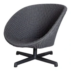 Peacock Outdoor Lounge Chair W/ Swivel Baes