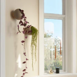 AYTM Globe Wall Flowerpot - Small (Order Quantity: 4) 22 AYTM Globe Wall Flowerpot - Small (Order Quantity: 4) -Danish Design Store AYTM 02 161