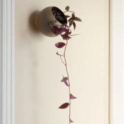 AYTM Globe Wall Flowerpot - Small (Order Quantity: 4) 21 AYTM Globe Wall Flowerpot - Small (Order Quantity: 4) -Danish Design Store AYTM 02 178