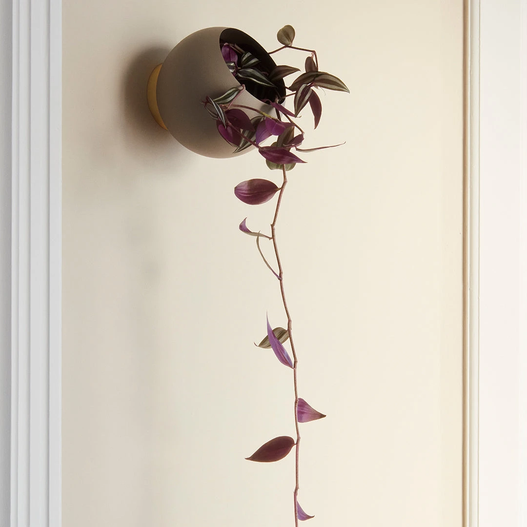 AYTM Globe Wall Flowerpot - Small (Order Quantity: 4) 9 AYTM Globe Wall Flowerpot - Small (Order Quantity: 4) - Image 7