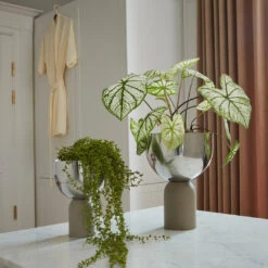 AYTM Torus Flowerpot - Large (Order Quantity: 2) -Danish Design Store AYTM 02 216