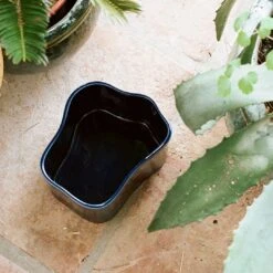 Artek Riihitie Plant Pot - Shape B 35 Artek Riihitie Plant Pot - Shape B -Danish Design Store Artek Aalto Riihitie Plant pot Blue Photo Zara Pfeifer jpg