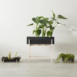 Botanic Box 15 Botanic Box -Danish Design Store BotanicCollection