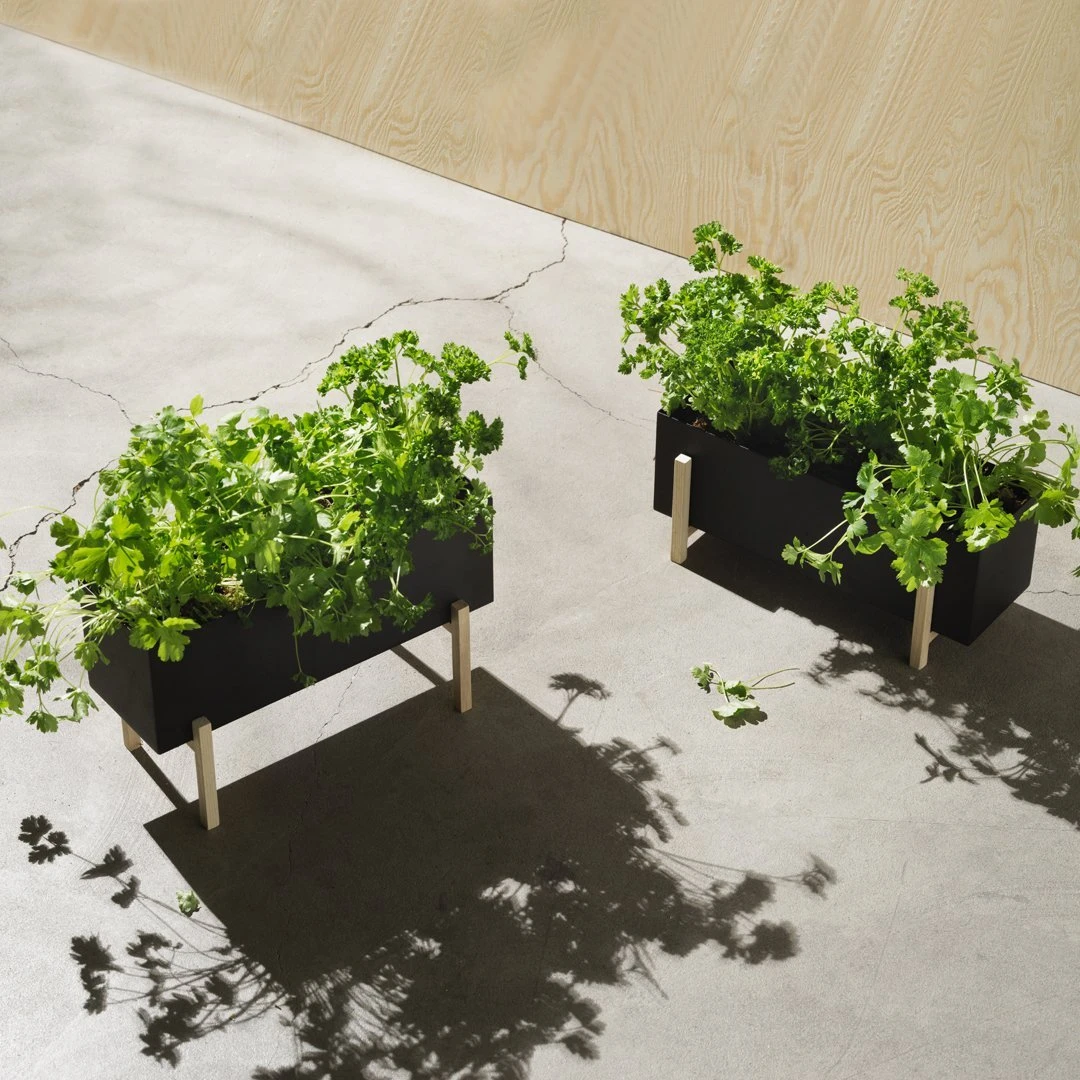 Botanic Box 7 Botanic Box - Image 5