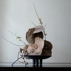 101 COPENHAGEN Duck Plate -Danish Design Store Duck Plate Mini 2 AikuFloral