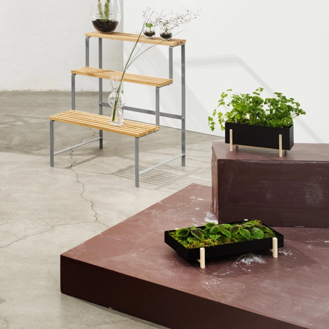 Botanic Box 8 Botanic Box - Image 6