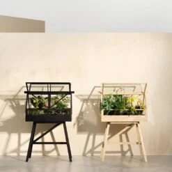 Greenhouse -Danish Design Store Greenhouse Black Ash Greenery d866af89 4790 4e71 8b5c b1b44c05de70