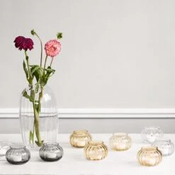 Holmegaard Primula Oval Vase 38 Holmegaard Primula Oval Vase -Danish Design Store HOLME 4340405 4340406 4340407 4340390 02