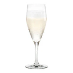 Holmegaard Perfection Champagne Glass - Set Of 6