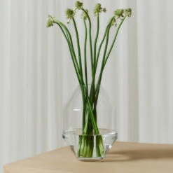 Hydro Vase -Danish Design Store HydroGlass2