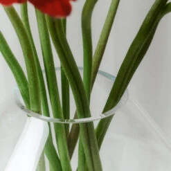 Hydro Vase -Danish Design Store HydroGlass3 78f9f574 be51 4ab0 bb88 d52671fe3deb