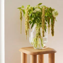Hydro Vase -Danish Design Store HydroGlass 2