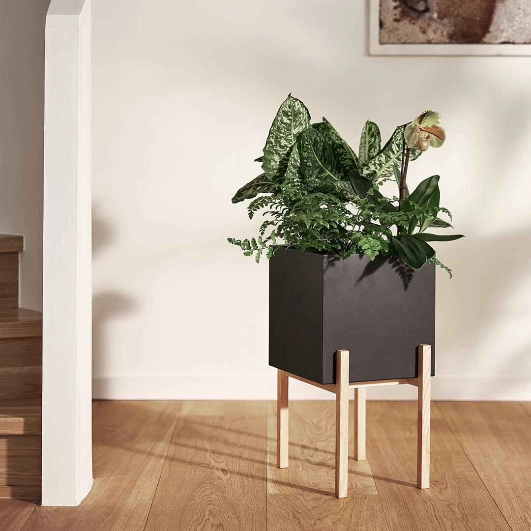 Botanic Pedestal Pot 4 Botanic Pedestal Pot - Image 2