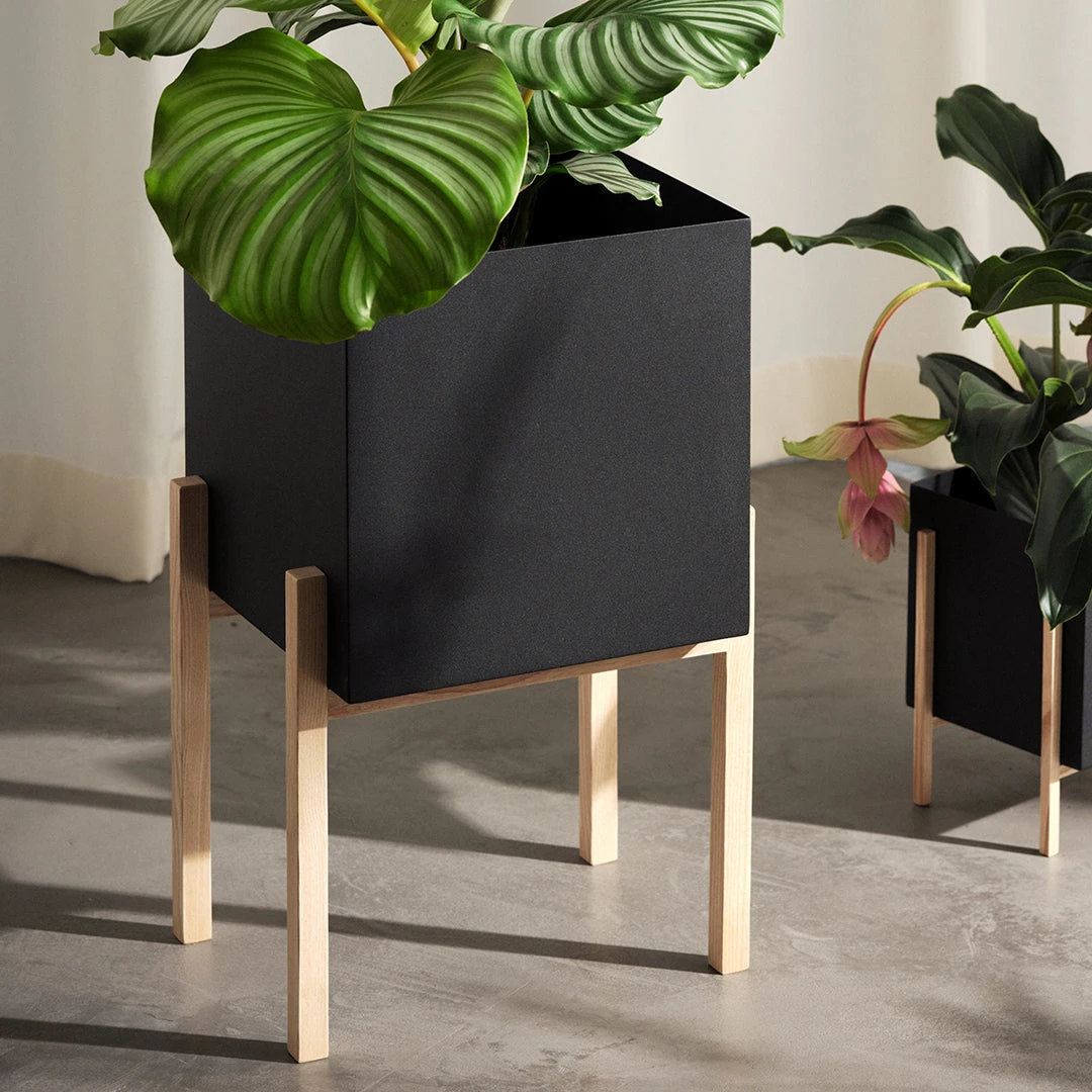 Botanic Pedestal Pot 6 Botanic Pedestal Pot - Image 4