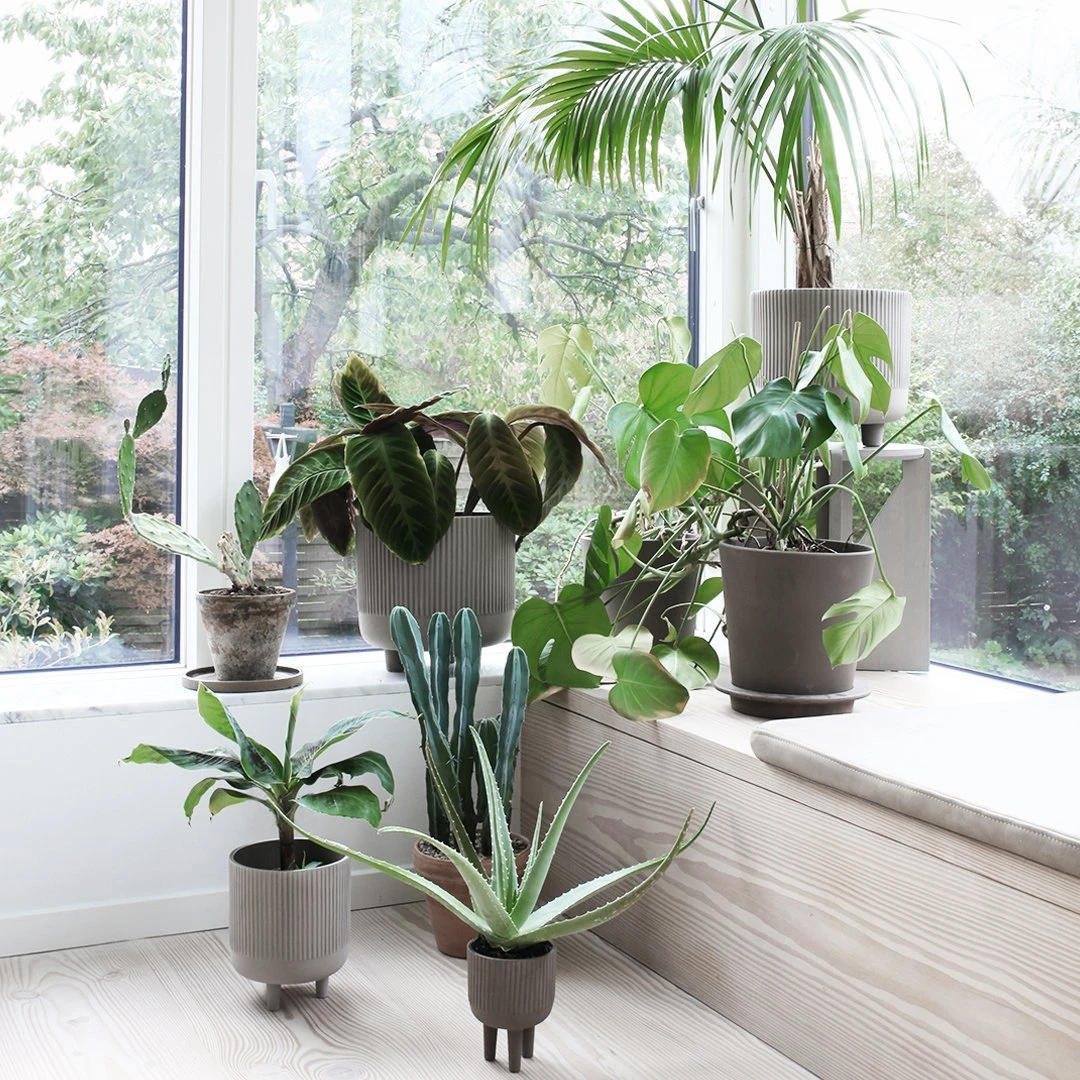 Bowl 22 Bowl - Image 20