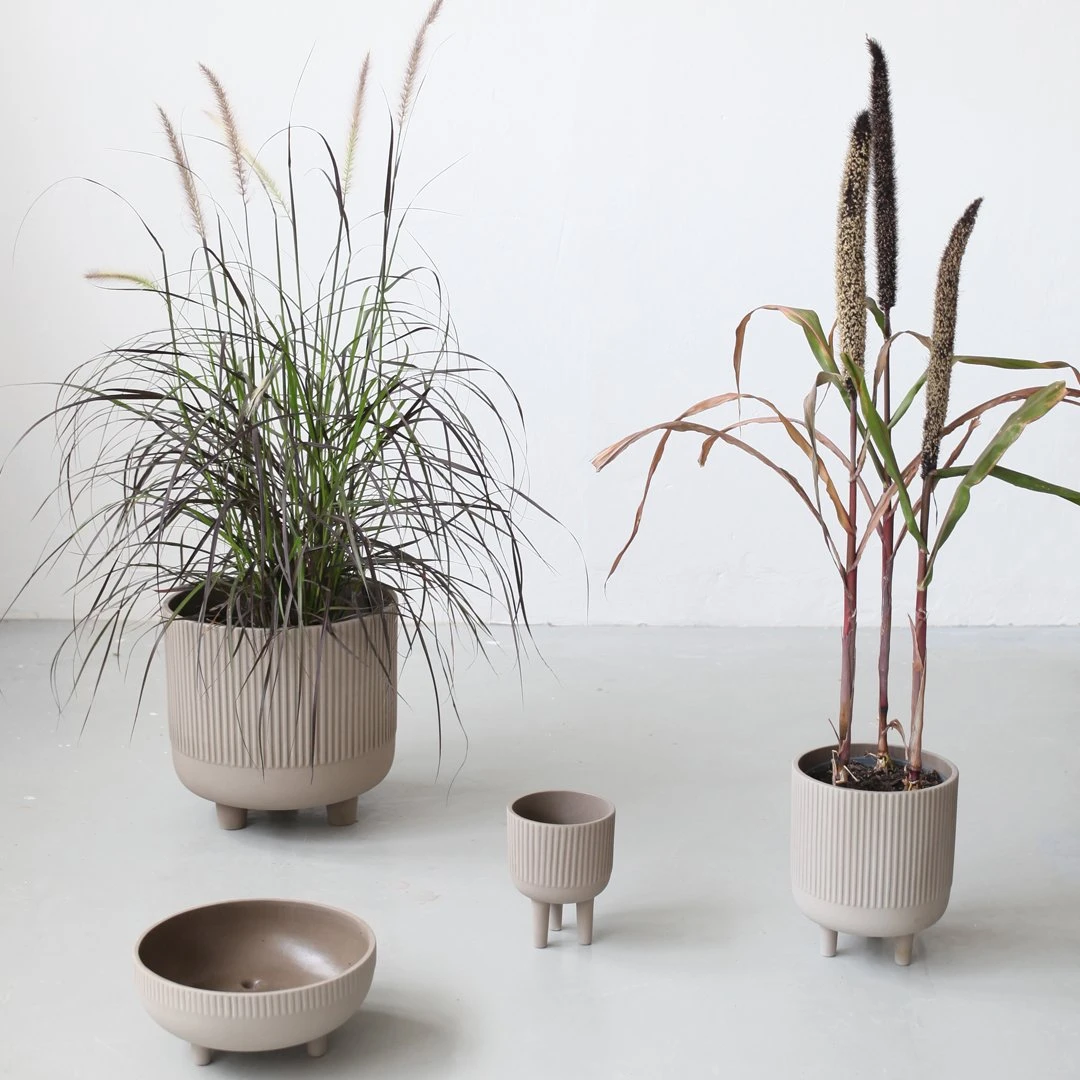 Bowl 19 Bowl - Image 17