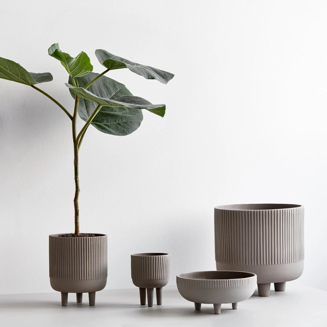 Bowl 21 Bowl - Image 19