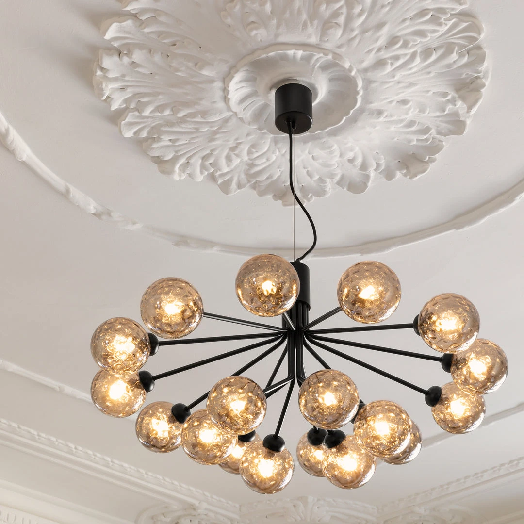 Apiales 18 Chandelier 18 Apiales 18 Chandelier - Image 16