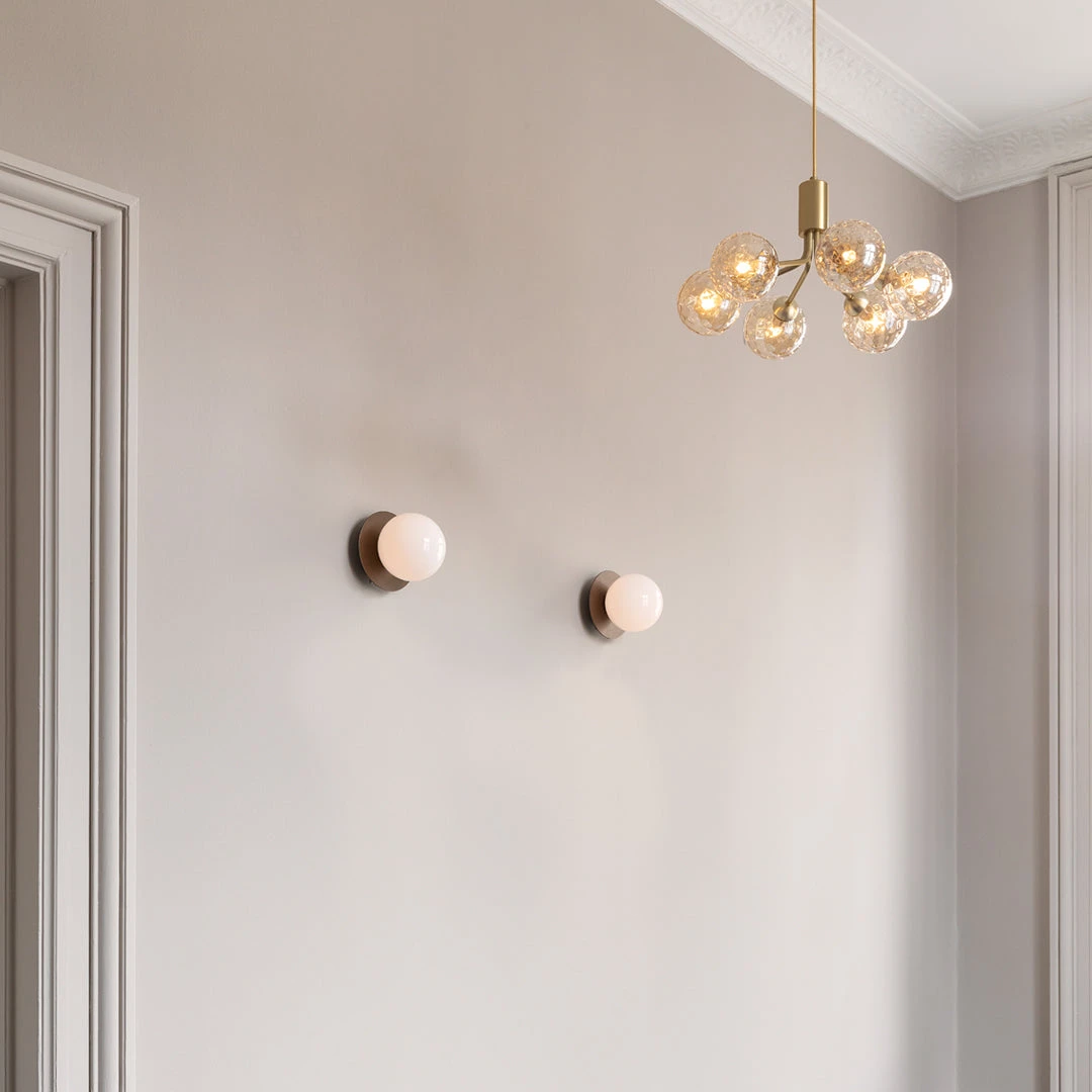 Apiales 6 Chandelier 19 Apiales 6 Chandelier - Image 17