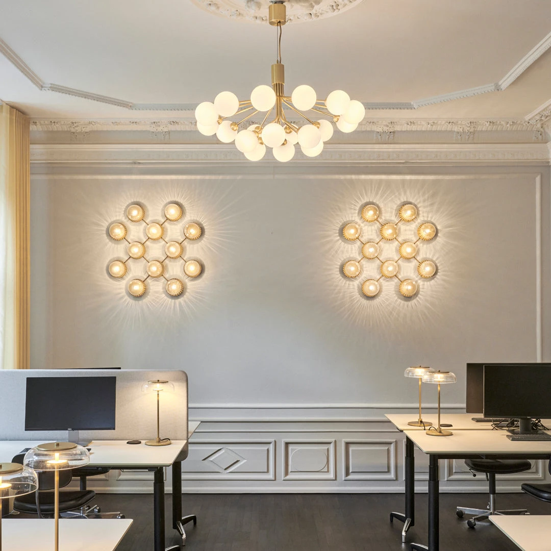 Apiales 18 Chandelier 20 Apiales 18 Chandelier - Image 18