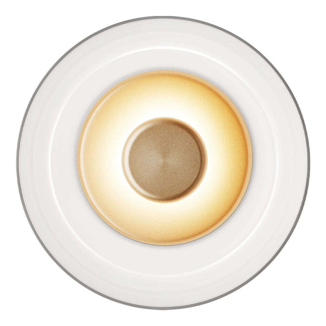 Blossi Wall Light 4 Blossi Wall Light - Image 2