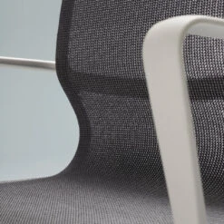 Vitra Physix Chair - Soft Gray Frame 13 Vitra Physix Chair - Soft Gray Frame -Danish Design Store Physix 108207 master 085c4431 e50a 4829 af33 fa65b90f266e