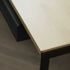 PK52 Professor Desk 13 PK52 Professor Desk -Danish Design Store Poul Kjaerholm PK52 professor desk oak PK115 drawer detail 041df5b2 ffe2 4024 8469 f42df57a5afb