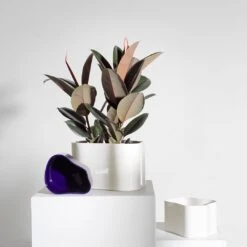 Artek Riihitie Plant Pot - Shape A -Danish Design Store Riihitie Plant Pot Photo Carl Kleiner 2