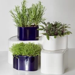 Artek Riihitie Plant Pot - Shape A -Danish Design Store Riihitie Plant Pot Photo Carl Kleiner 4