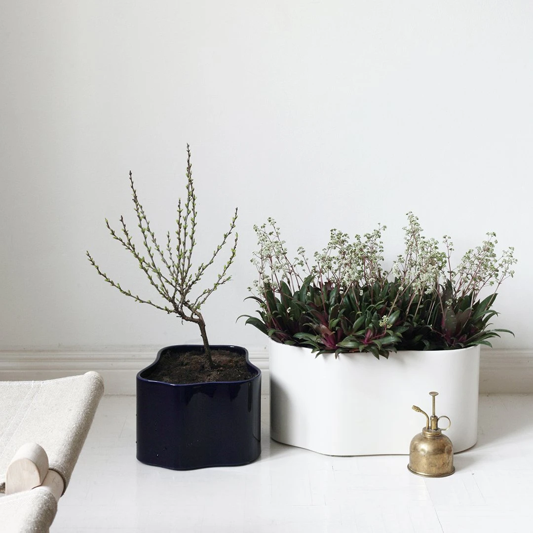 Artek Riihitie Plant Pot - Shape B 16 Artek Riihitie Plant Pot - Shape B - Image 14