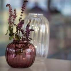 Holmegaard Primula Oval Vase 32 Holmegaard Primula Oval Vase -Danish Design Store SOME1 4340390 21 NOV18