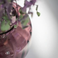 Holmegaard Primula Oval Vase 30 Holmegaard Primula Oval Vase -Danish Design Store SOME5 4340390 21 NOV18