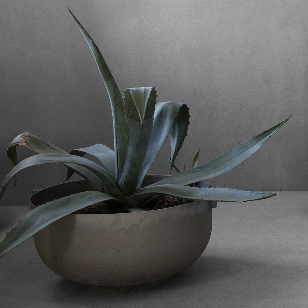 Castle Planter 9 Castle Planter - Image 7