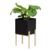 Botanic Pedestal Pot -Danish Design Store image1 2705 1081 BotanicPedestal Packshot