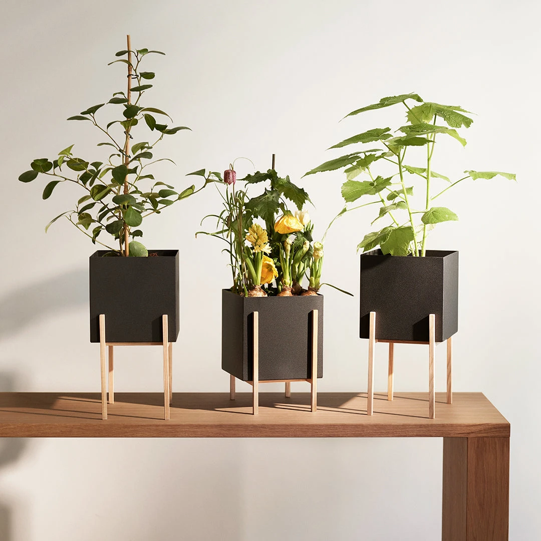 Botanic Pot 4 Botanic Pot - Image 2