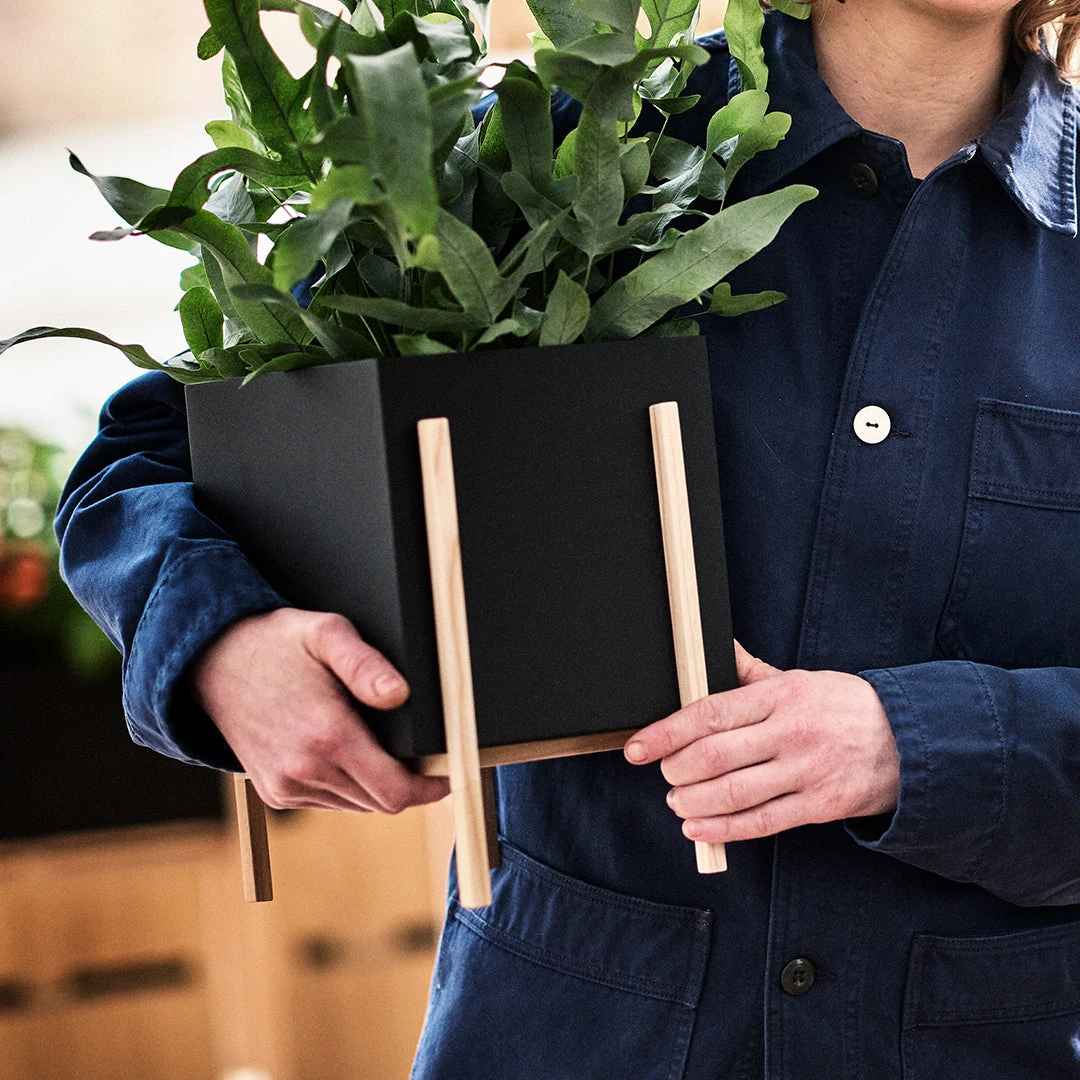 Botanic Pot 7 Botanic Pot - Image 5