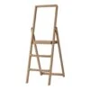 Step Stepladder